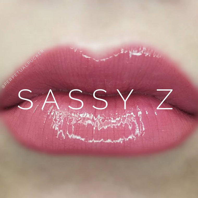 Sassy Z Starter Collection (color, glossy gloss and oops remover) - HoneyLoveBoutique