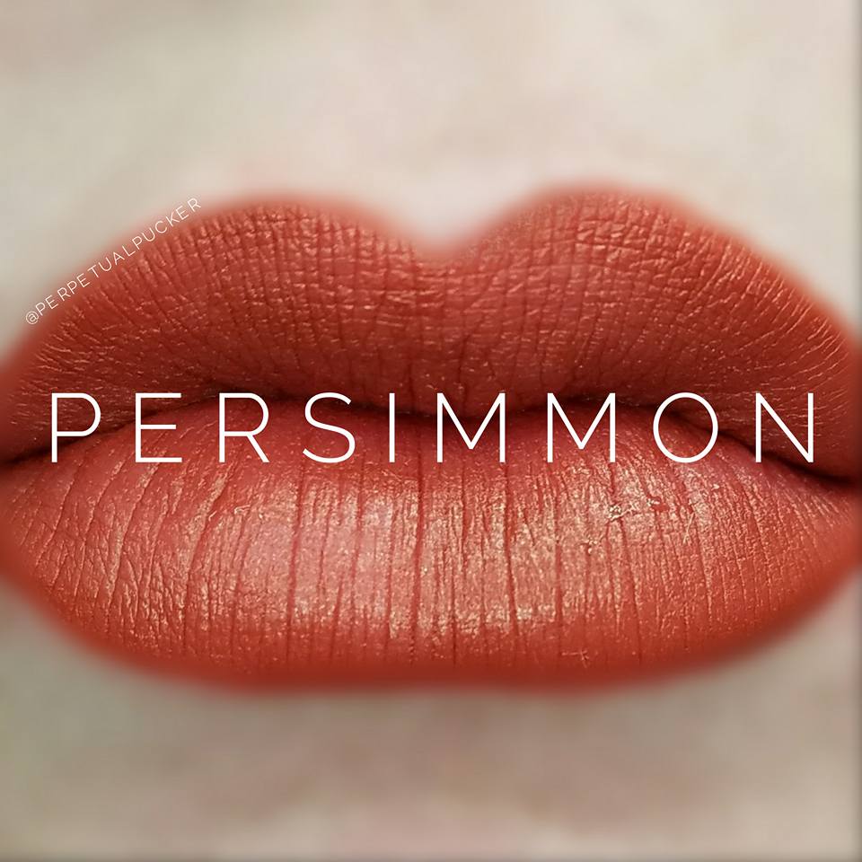 Persimmon Starter Collection (color, glossy gloss and oops remover) - HoneyLoveBoutique