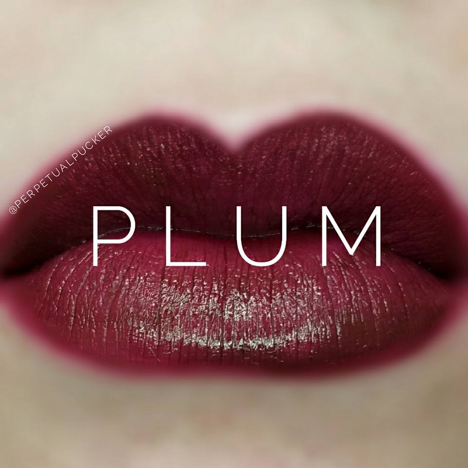 Plum Starter Collection (color, glossy gloss and oops remover) - HoneyLoveBoutique